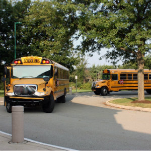 2 school buses turning roundabout