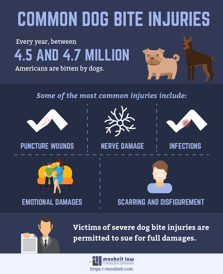 can you get nerve damage from a dog bite