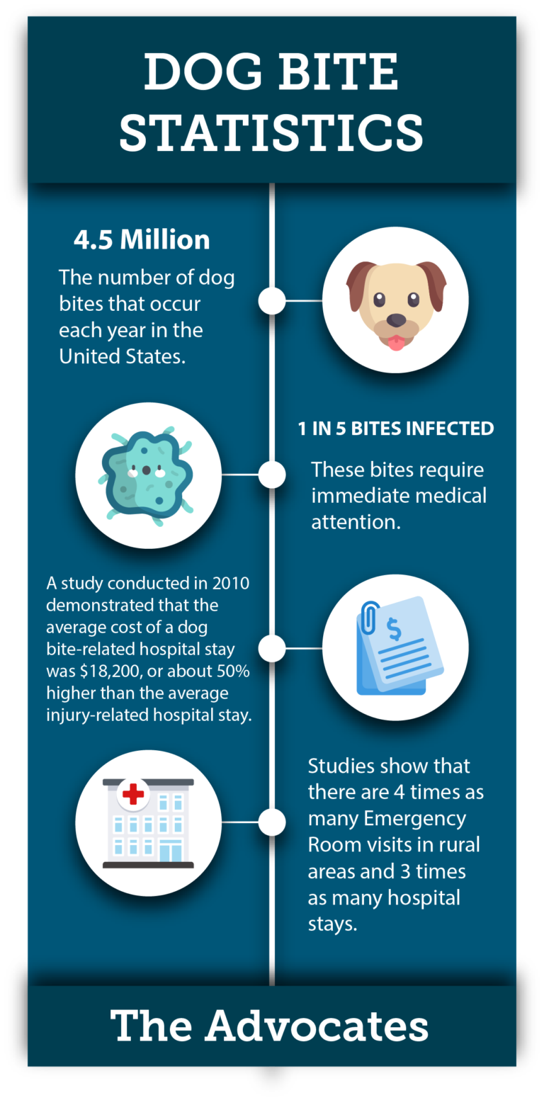 Understanding Dog Bite Statistics | Monheit Law Guest Post