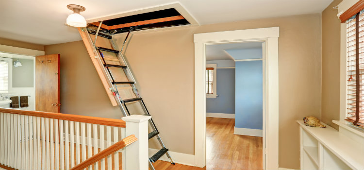 attic ladder in hallway