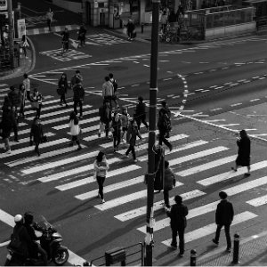 crowded city crosswalk