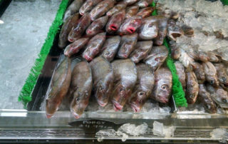 fish at reading terminal market