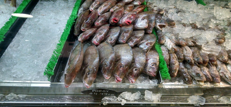 fish at reading terminal market