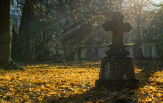 gravestone and autumn leaves