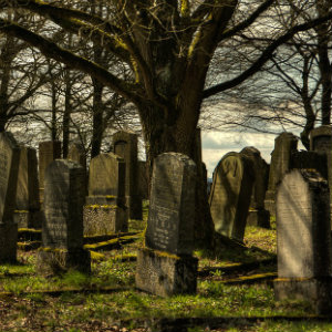 gravestones in cemetary