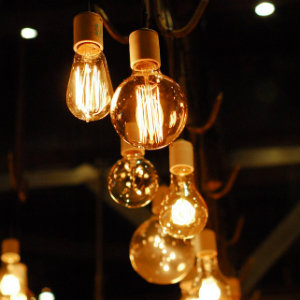 group of lit lightbulbs